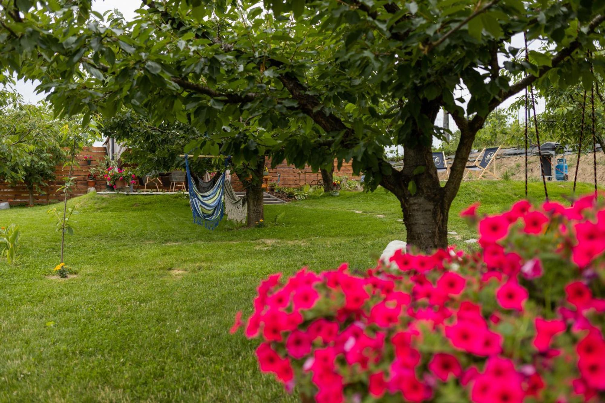 Czeresniowe Wzgorze Sandomierz Jakuzzi Exterior foto